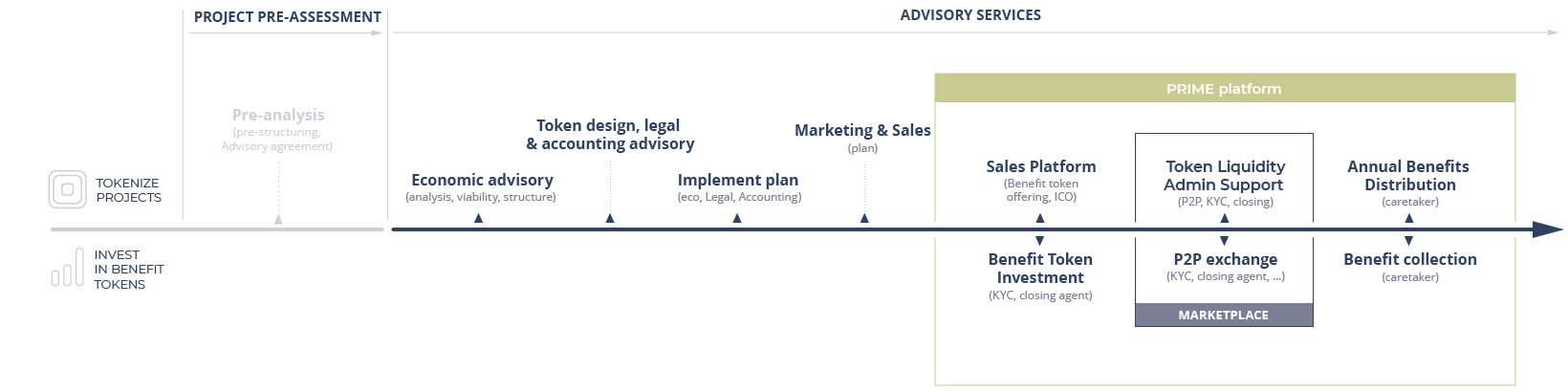 DIVÉI PRIME advisory services around the benefit token tokenization process for project owners and benefit token investment for investors